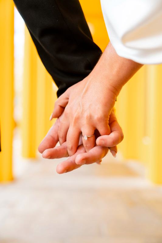 The Pereras wedding portrait